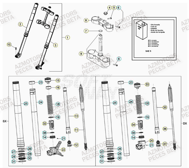 Fourche AZMOTORS PiÃ¨ces RR 125 2T - 2023