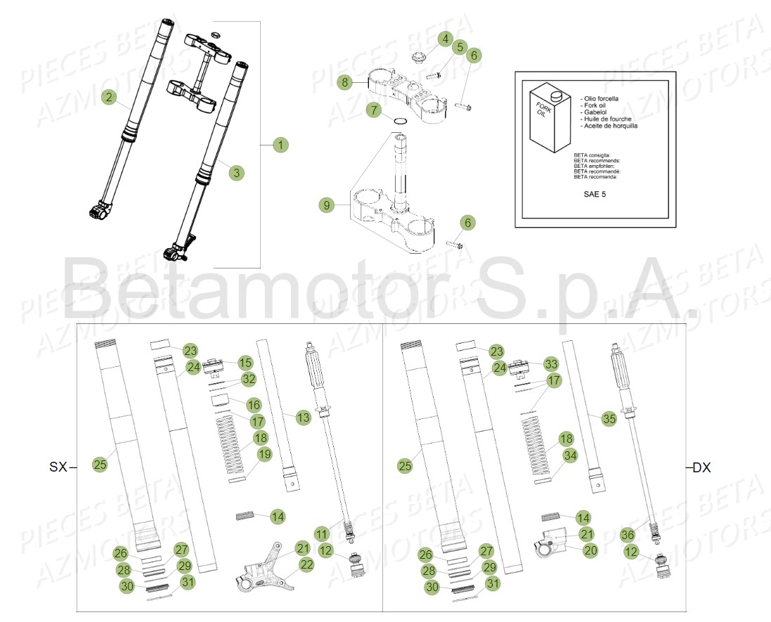 Fourche AZMOTORS Pieces Beta RR 200 2T - 2019