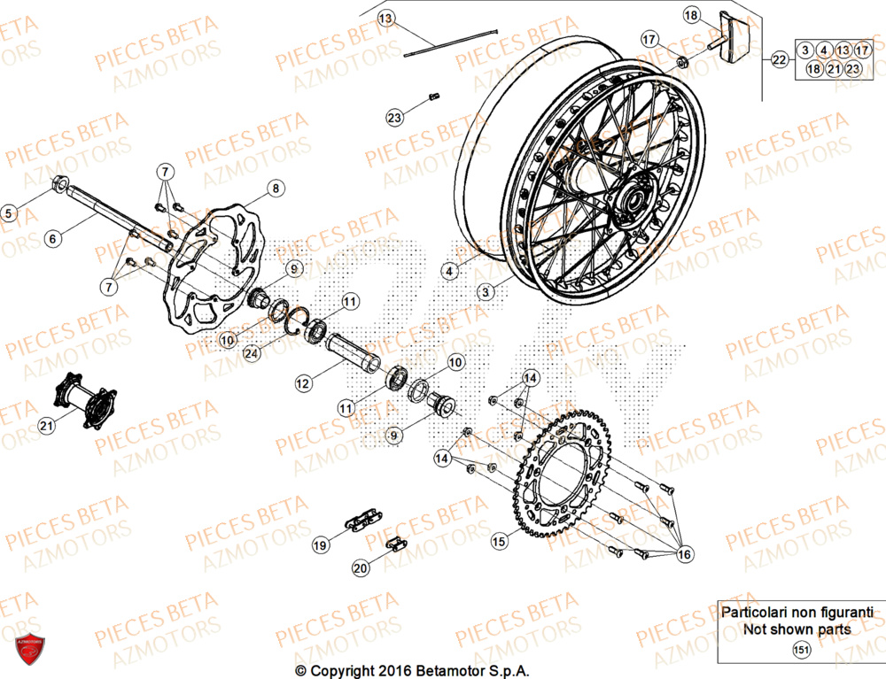 Roue Arriere AZMOTORS PiÃ¨ces RR 200 RACE 2T - 2025