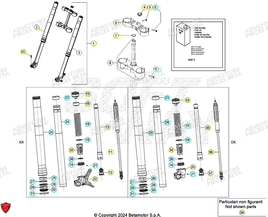 Fourche AZMOTORS Pieces BETA RR 2T 250 - (2024)