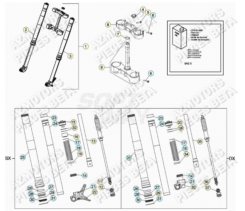 Fourche AZMOTORS Pieces BETA RR 2T 250 - (2019)