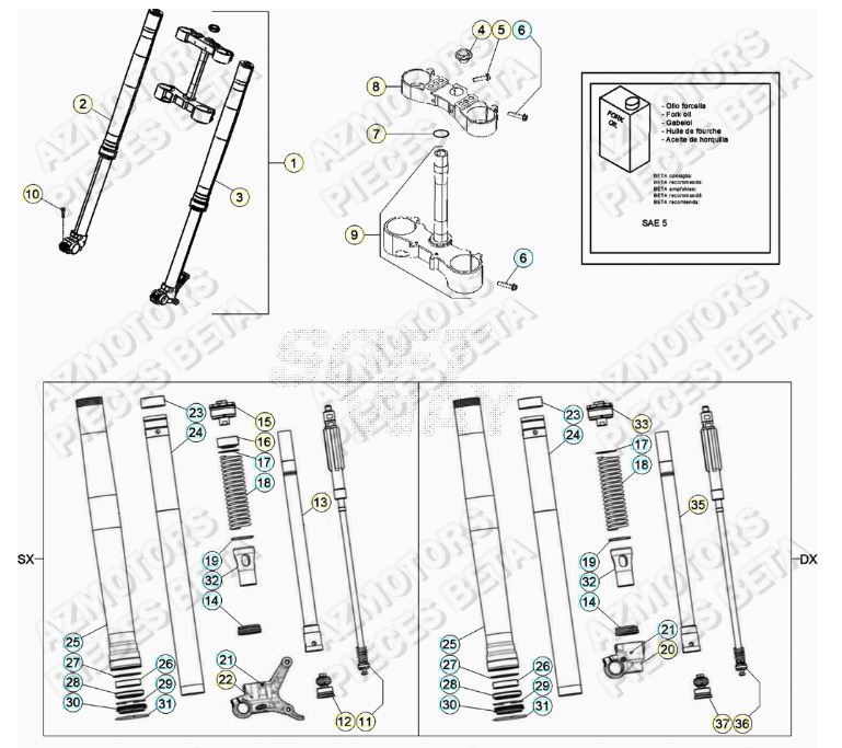 Fourche AZMOTORS Pieces BETA RR 2T 250 - (2020)