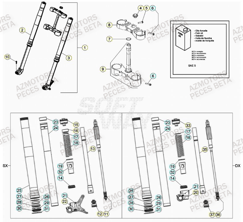 Fourche AZMOTORS Pieces BETA RR 2T 250 - (2021)