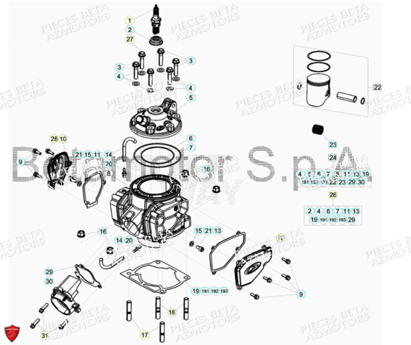 Cylindre Culasse Distribution AZMOTORS Pieces BETA RR RACING 2T 250 - (2018)