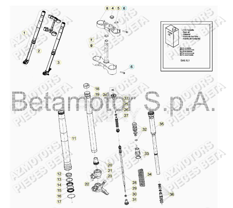 Fourche AZMOTORS Pieces BETA RR RACING 2T 250 - (2019)