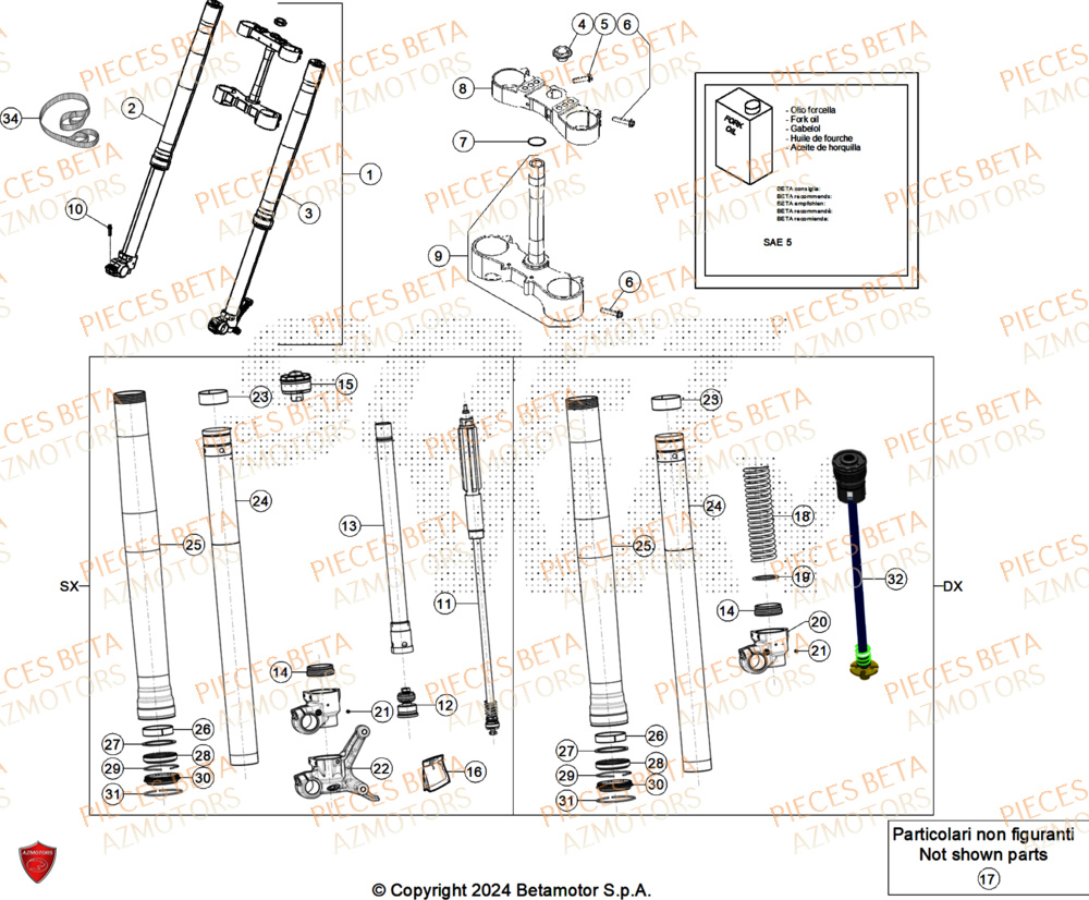 Fourche AZMOTORS Pieces BETA RR 2T 250 X-PRO - (2025)