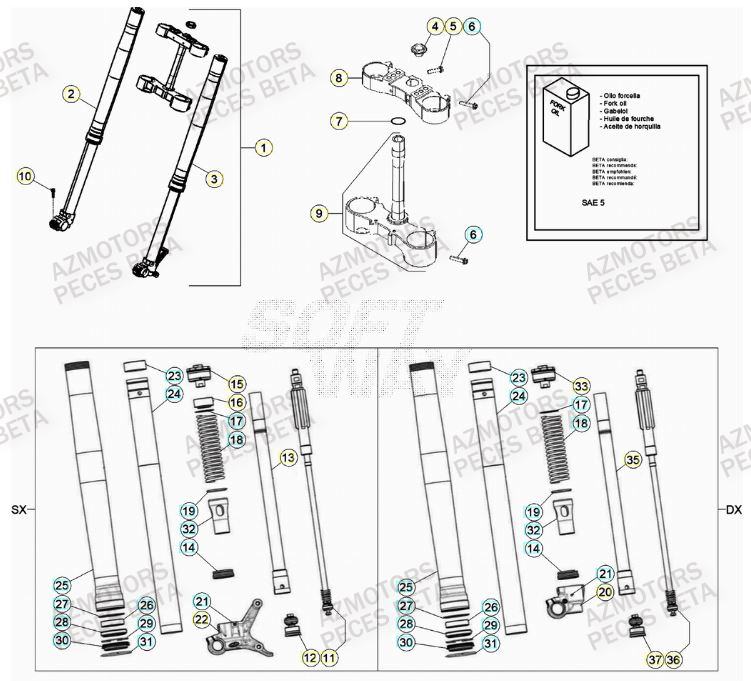 Fourche AZMOTORS Pieces BETA RR 2T 300 - (2020)