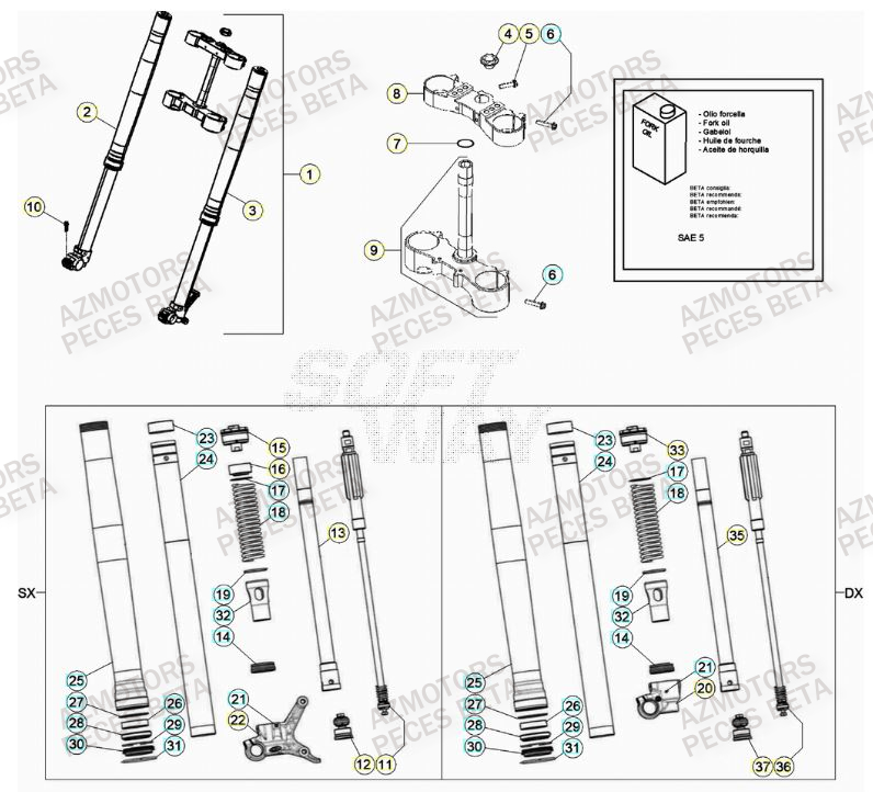 Fourche AZMOTORS Pieces BETA RR 2T 300 - (2021)