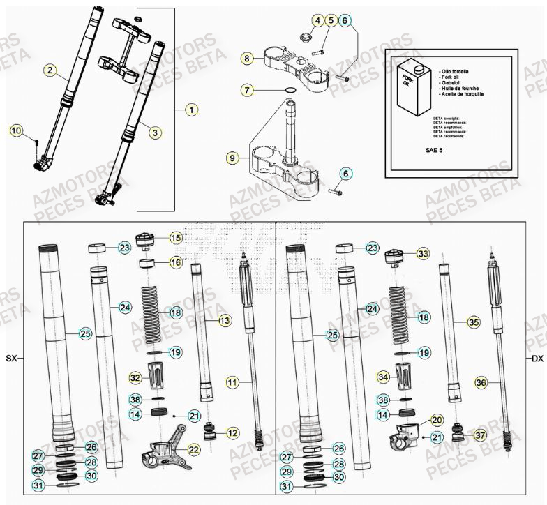 Fourche AZMOTORS Pieces BETA RR 2T 300 - (2023)