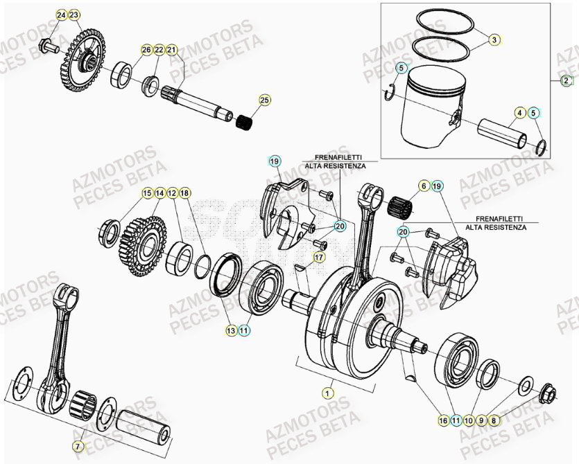 Vilebrequin AZMOTORS Pieces BETA RR 2T 300 - (2023)