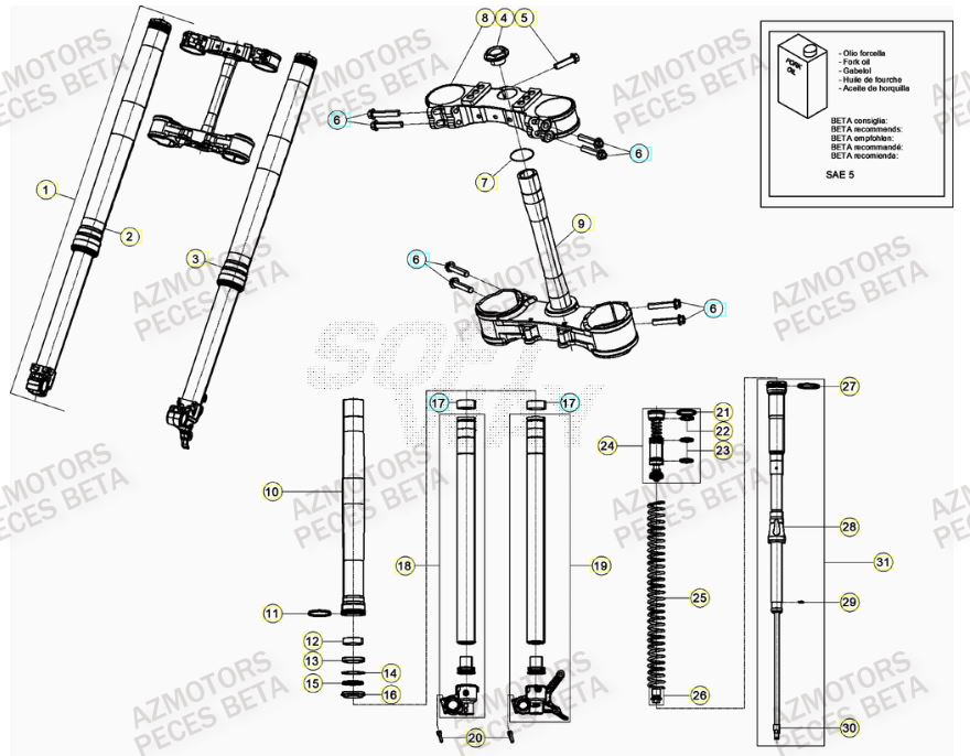 Fourche AZMOTORS Pieces BETA RR 2T 300 RACING - (2020)