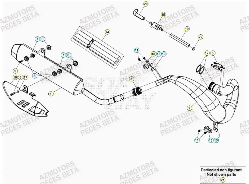 Echappement AZMOTORS Pieces BETA RR 2T 300 RACING - (2021)