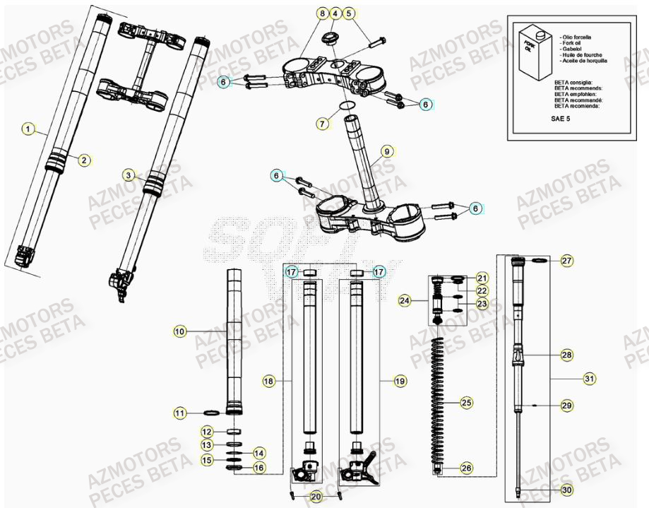 Fourche AZMOTORS Pieces BETA RR 2T 300 RACING - (2022)