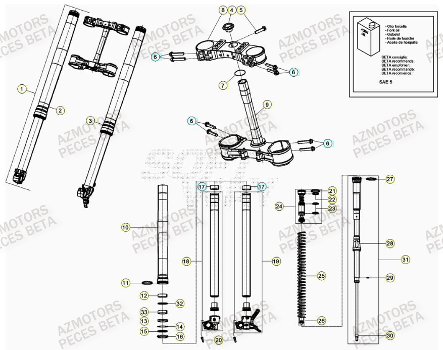 Fourche AZMOTORS Pieces BETA RR 2T 300 RACING - (2023)