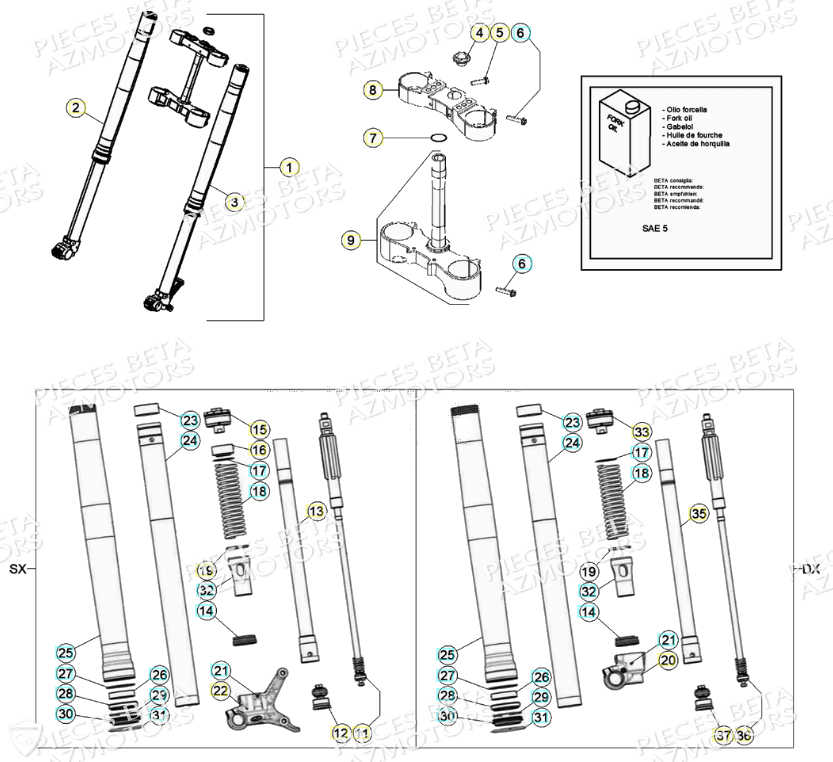Fourche AZMOTORS PiÃ¨ces Beta RR 4T 350 Enduro - (2021)