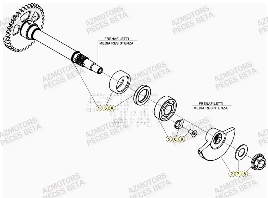 Arbre Equilibrage AZMOTORS PiÃ¨ces Beta RR 4T 350 Enduro - (2022)