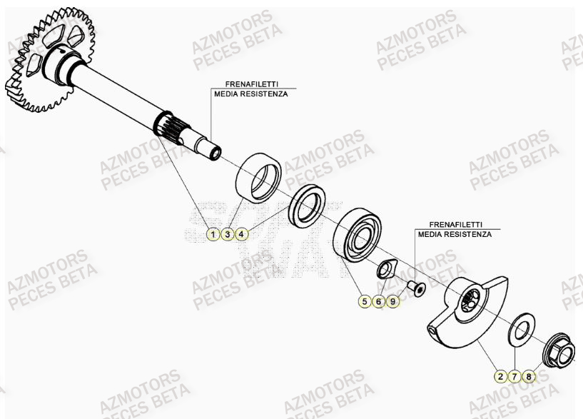 Arbre Equilibrage AZMOTORS PiÃ¨ces BETA RR 4T RACING 350 - (2023)

