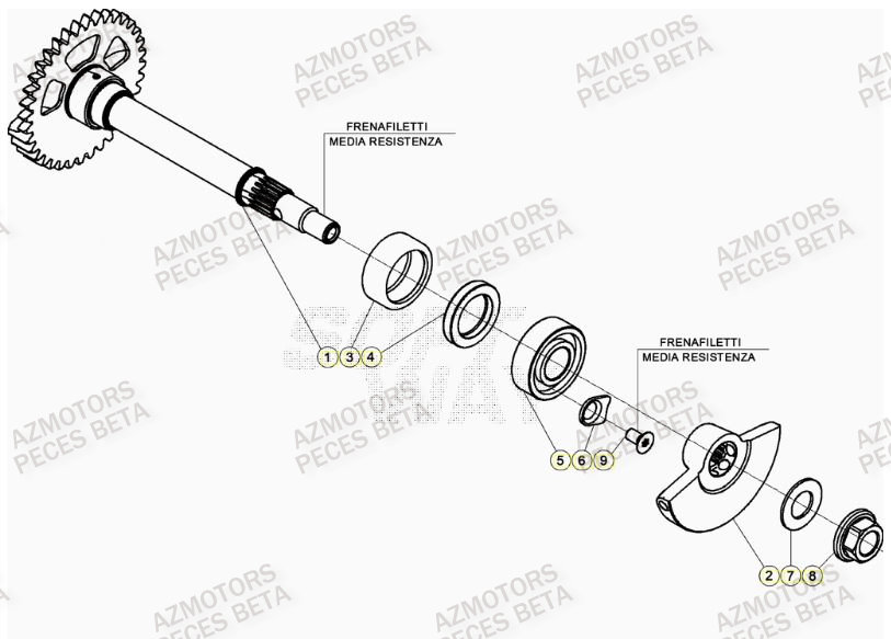 Arbre Equilibrage AZMOTORS PiÃ¨ces BETA RR 4T RACING 390 - (2021)

