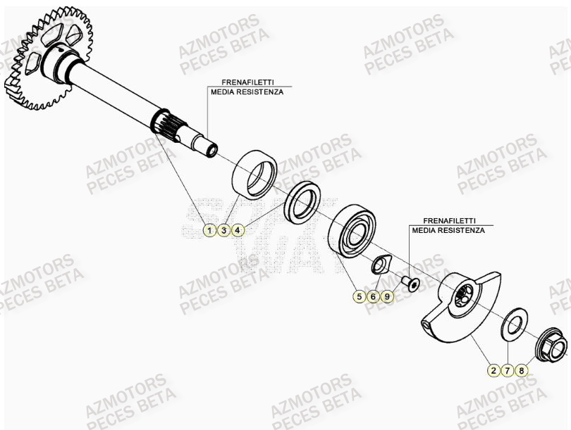 Arbre Equilibrage AZMOTORS PiÃ¨ces BETA RR 4T RACING 390 - (2023)

