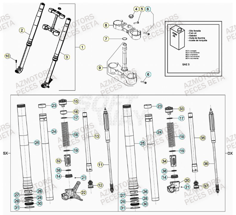 Fourche AZMOTORS PiÃ¨ces Beta RR 4T 430 Enduro - (2022)