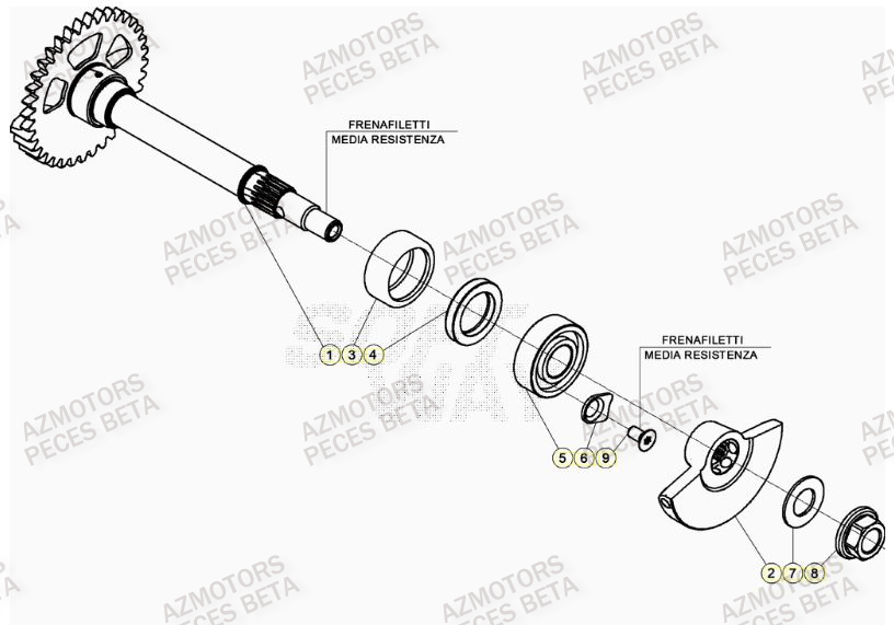 Arbre Equilibrage AZMOTORS PiÃ¨ces Beta RR 4T 430 Enduro - (2023)
