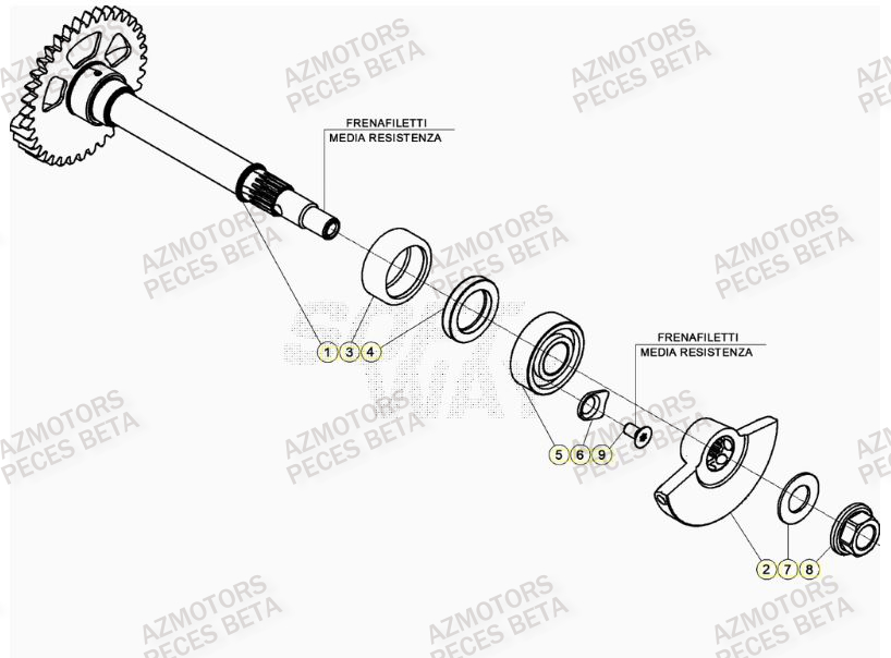 Arbre Equilibrage AZMOTORS PiÃ¨ces BETA RR 4T RACING 430 - (2022)

