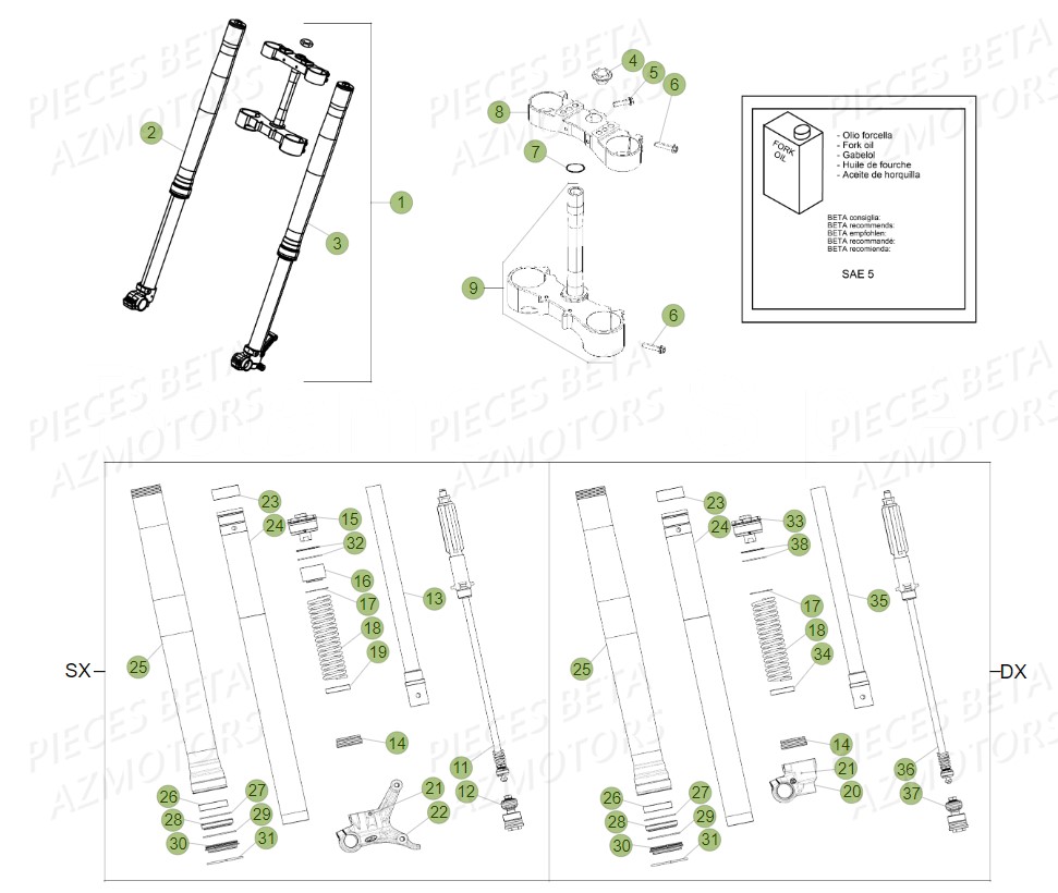 Fourche Tube De Fourche AZMOTORS PiÃ¨ces Beta RR 4T 480 Enduro - (2019)