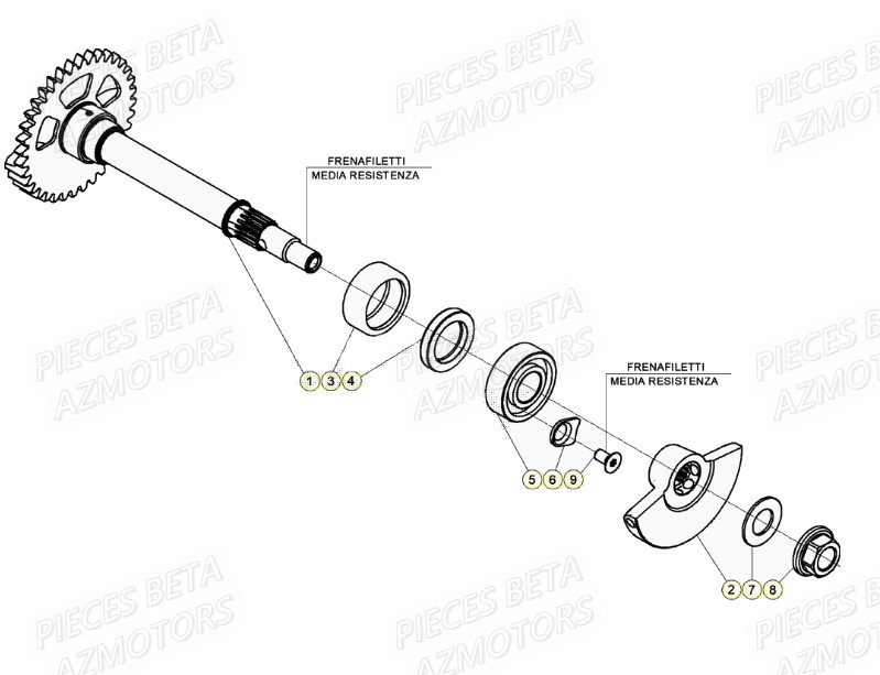 Arbre D Equilibrage AZMOTORS PiÃ¨ces Beta RR 4T 480 Enduro - (2021)