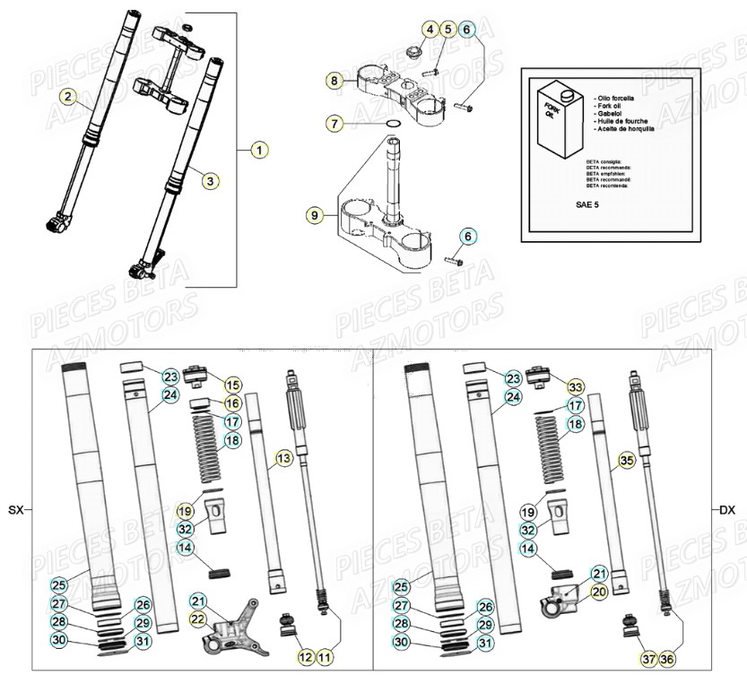 Fourche AZMOTORS PiÃ¨ces Beta RR 4T 480 Enduro - (2021)