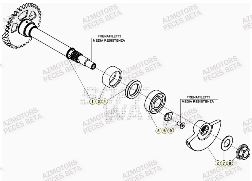 Arbre Equilibrage AZMOTORS PiÃ¨ces Beta RR 4T 480 Enduro - (2023)