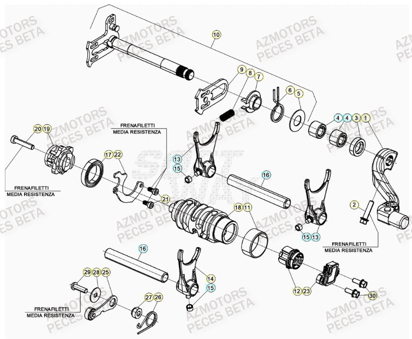 Selecteur De Vitesses AZMOTORS PiÃ¨ces Beta RR 4T 480 Enduro - (2023)