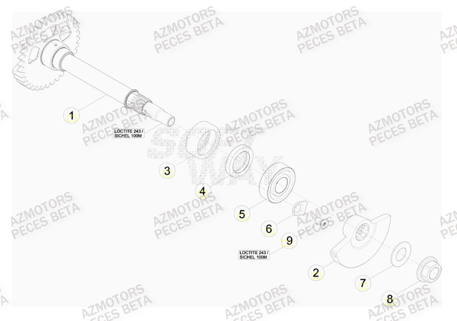 Arbre Equilibrage AZMOTORS PiÃ¨ces BETA RR 4T 480 RACING - (2016)


