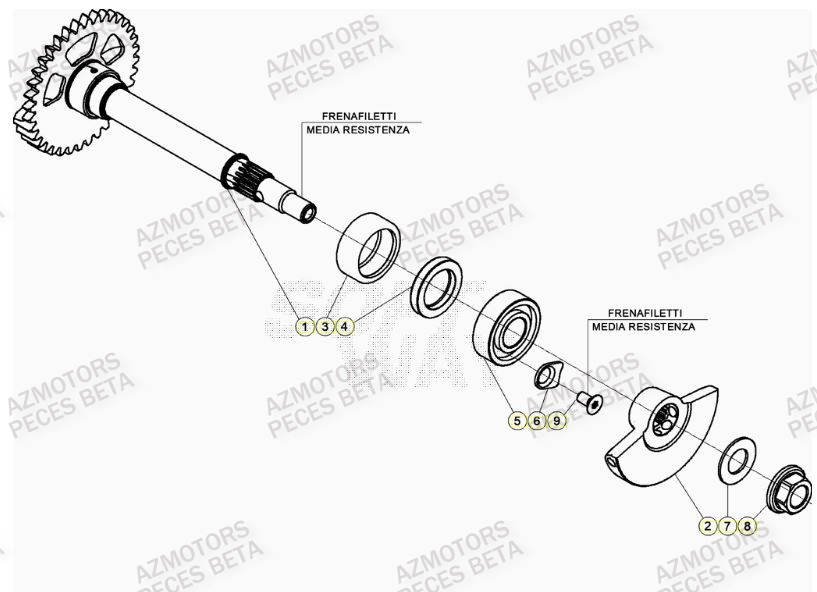 Arbre Equilibrage AZMOTORS PiÃ¨ces BETA RR 4T RACING 480 - (2022)

