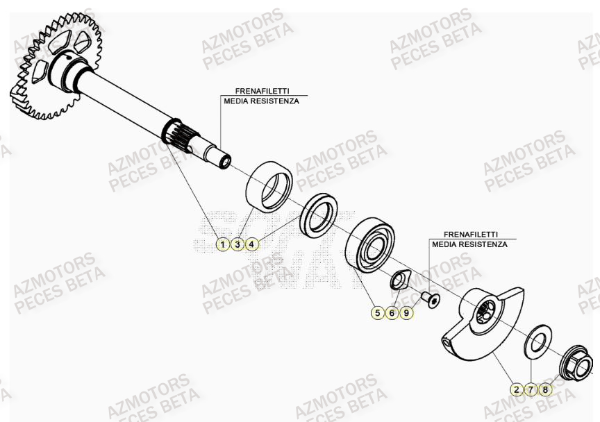 Arbre Equilibrage AZMOTORS PiÃ¨ces BETA RR 4T RACING 480 - (2023)


