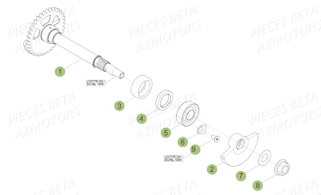 Arbre Equilibrage AZMOTORS PiÃ¨ces Beta RR 4T 400 Enduro - 2011