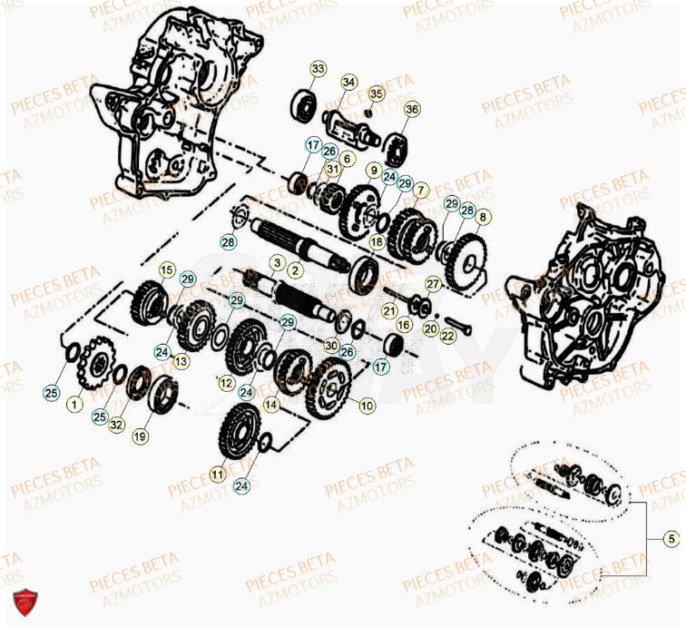 Transmission AZMOTORS PiÃ¨ces Beta RR 50 SPORT - 2023-2024