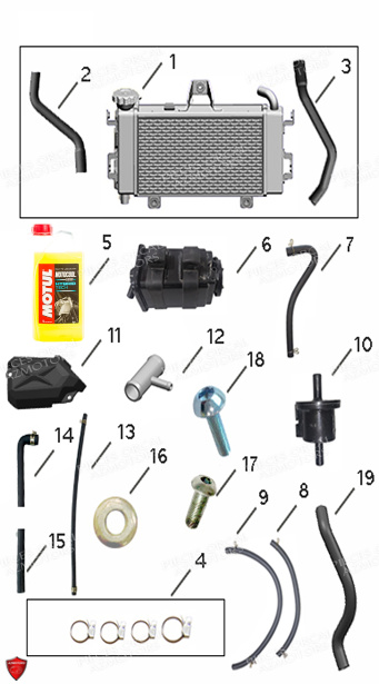LIQUIDE DE REFROIDISSEMENT MOTUL MOTOCOOL EXPERT (-37Â°C) (1L) pour Refroidissement de SK01 125 Euro5