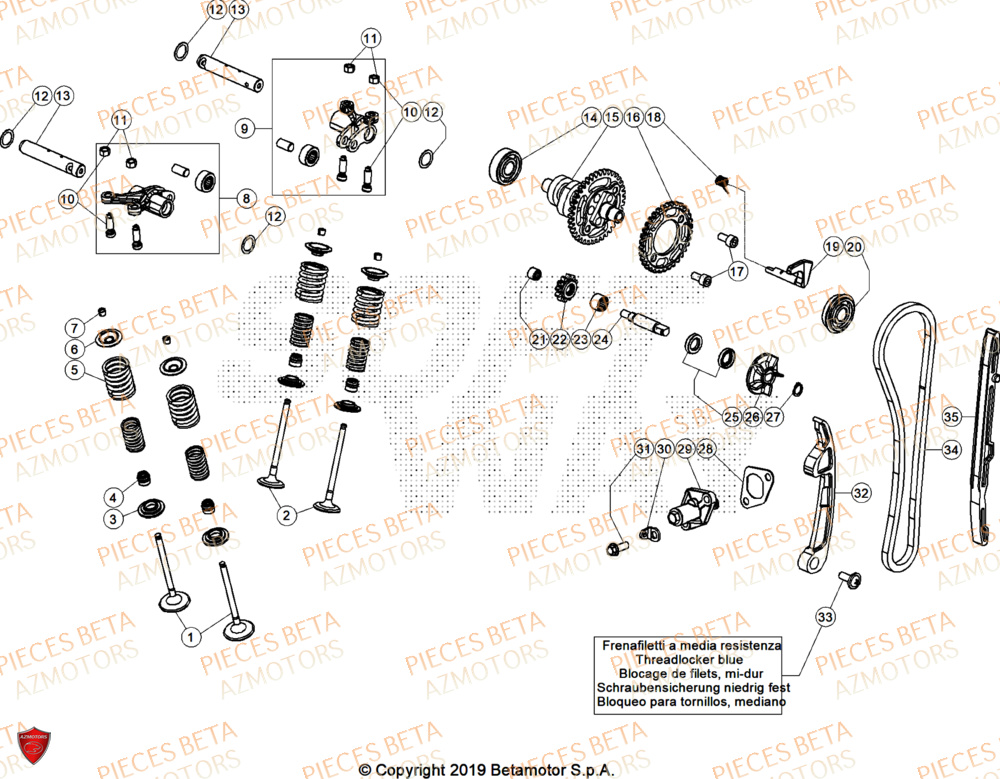 Distribution AZMOTORS Pieces BETA TRIAL EVO 300 4T - (2026)