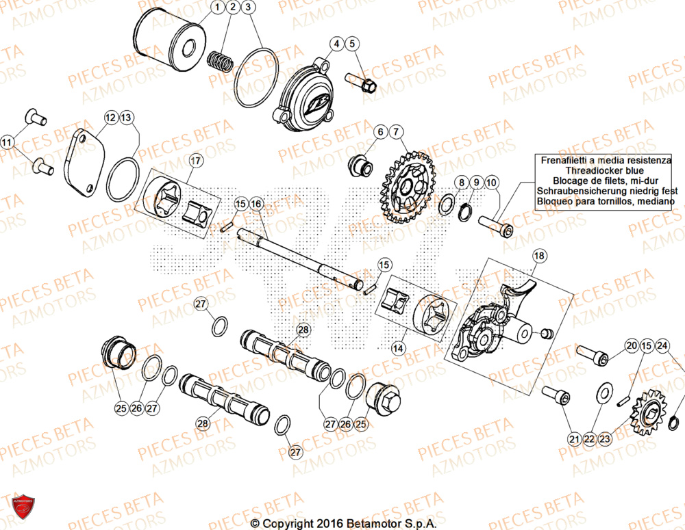 Pompe A Huile AZMOTORS Pieces BETA TRIAL EVO 300 4T - (2026)