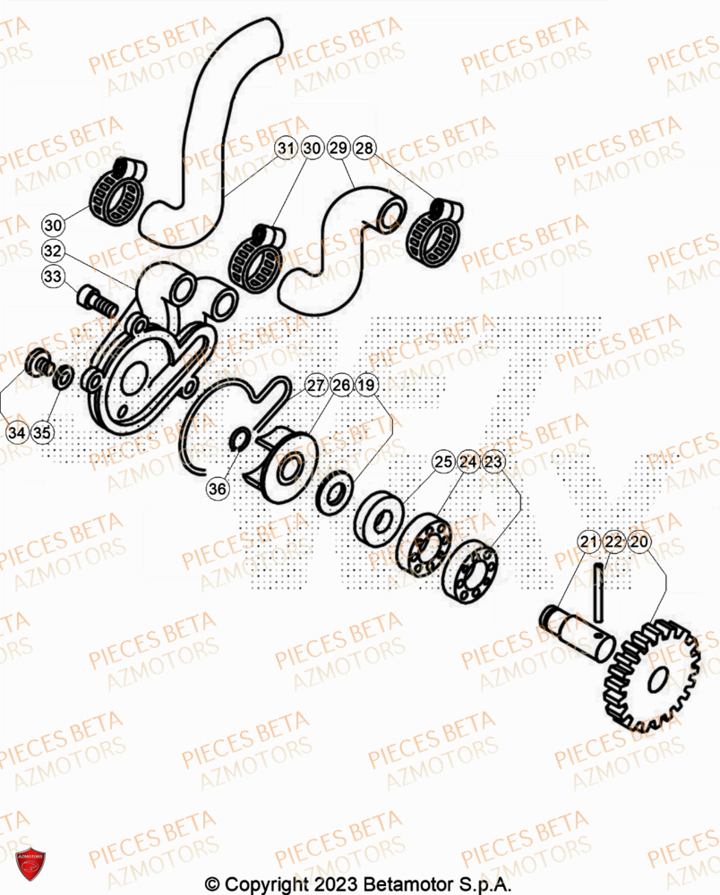 Installation De Refroidissement AZMOTORS Pieces BETA TRIAL EVO 300 2T FACTORY - (2024)