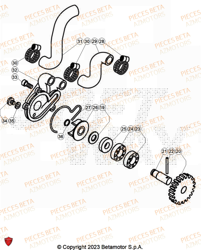 Pompe A Eau AZMOTORS Pieces BETA TRIAL EVO 300 2T SS - (2025)