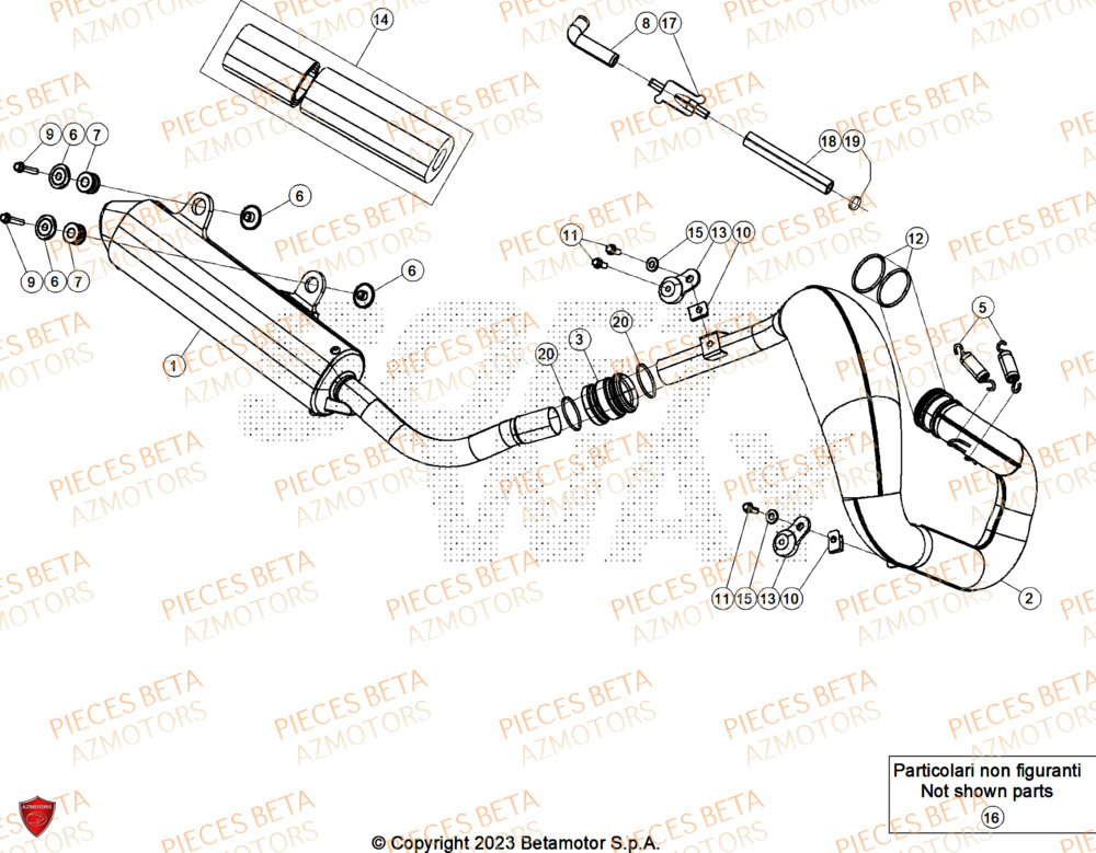 Echappement AZMOTORS Pieces BETA ENDURO XTRAINER 250 2T - (2025) EURO5+