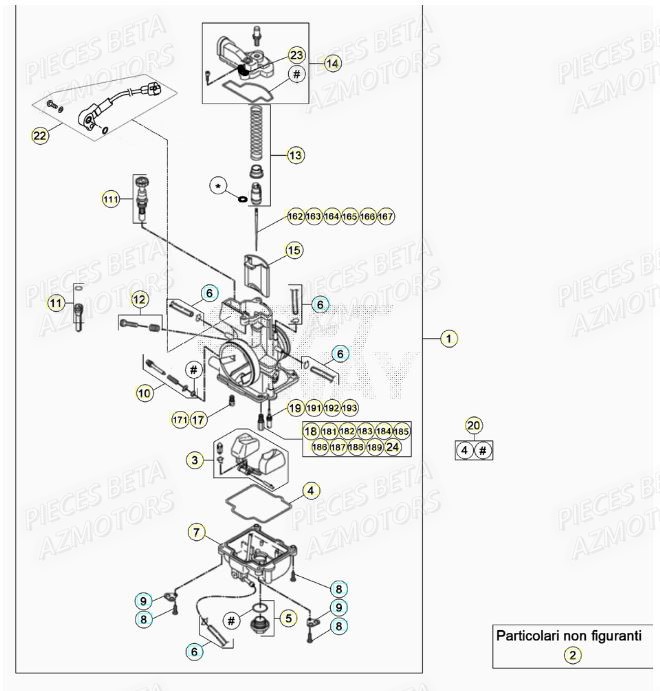 Carburateur AZMOTORS Pieces BETA RR XTRAINER 250 2T - (2020)