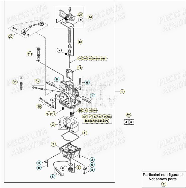 Carburateur AZMOTORS Pieces BETA RR XTRAINER 250 2T - (2021)