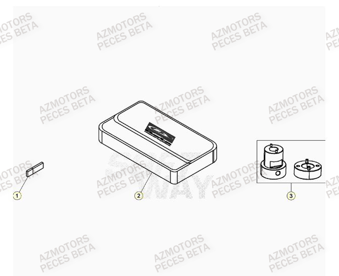 Manuel AZMOTORS Pieces BETA RR XTRAINER 250 2T - (2023)