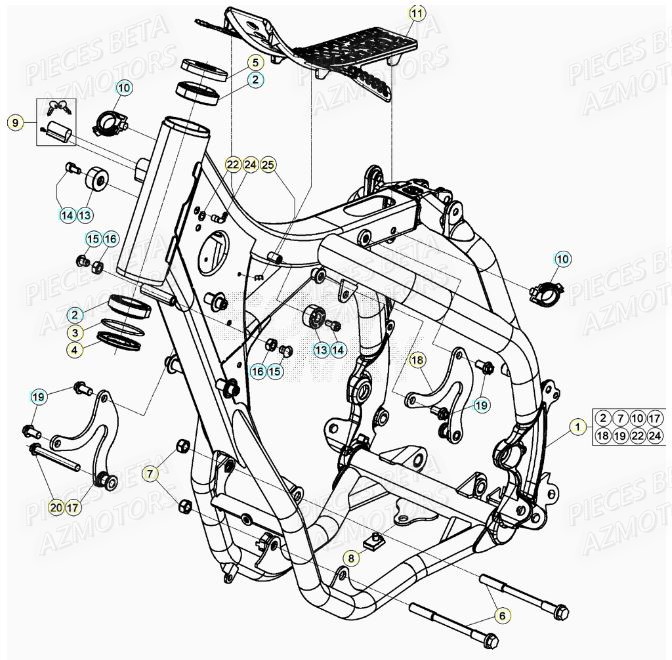Chassis AZMOTORS Pieces BETA RR XTRAINER 300 2T - (2022)