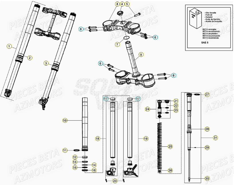 Fourche AZMOTORS Pieces BETA RR XTRAINER 300 2T - (2022)