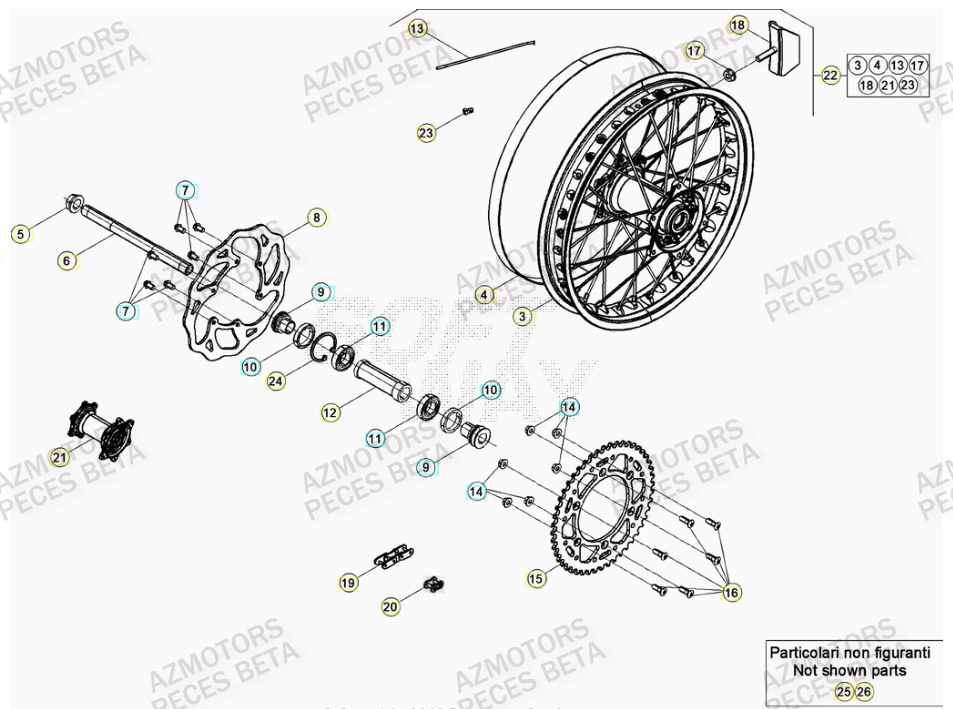 Roue Arriere AZMOTORS Pieces BETA RR XTRAINER 300 2T - (2023)